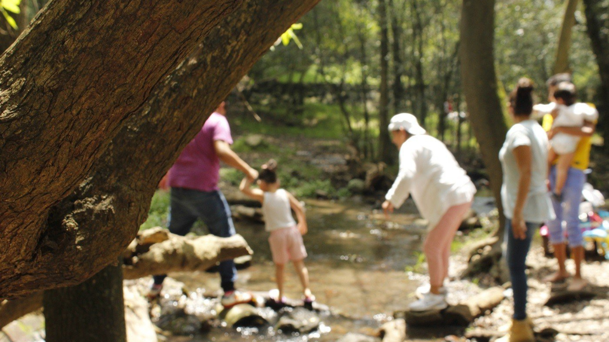Monterrey en Familia: Evento de Diversión Familiar