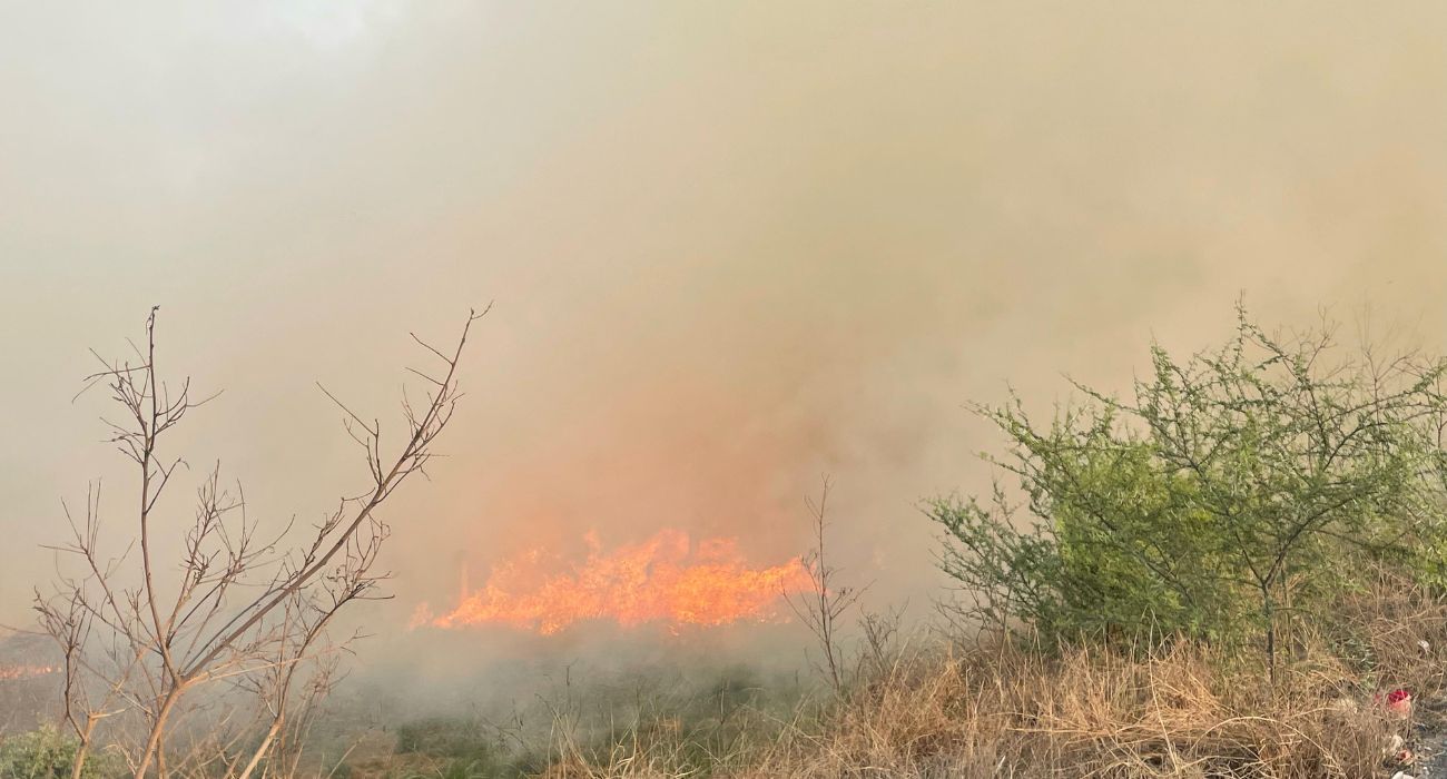 Incendio pone en riesgo zona residencial en Cadereyta