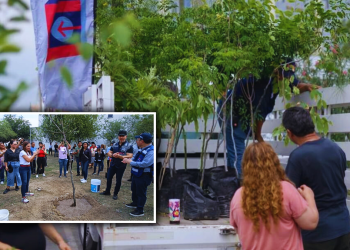 Monterrey Fija Meta: Reforestación Urbana Con 85 Mil Árboles Nativos