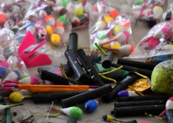 pirotecnia-ilegal-animales-domésticos-medio-ambiente-contaminación-del-aire