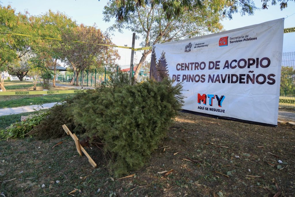 reciclaje-de-pinos-navideños-Monterrey-centros-de-acopio-medio-ambiente