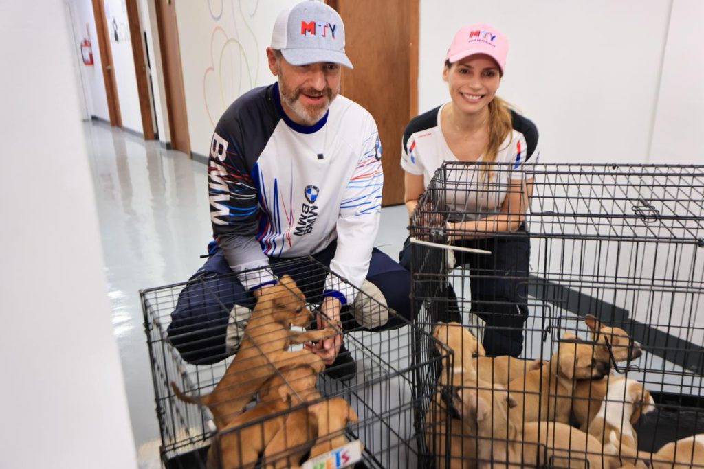 - HECHOS AM adopción-de-50-perros-bienestar-animal-tenencia-responsable-Adrián-de-la-Garza-Chihuatón